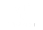 Final Arms